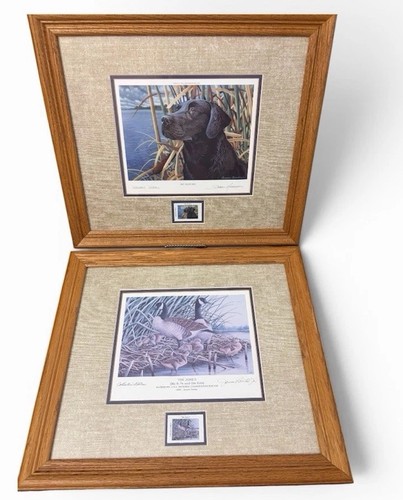 Coppia stampe collezione - stampe,